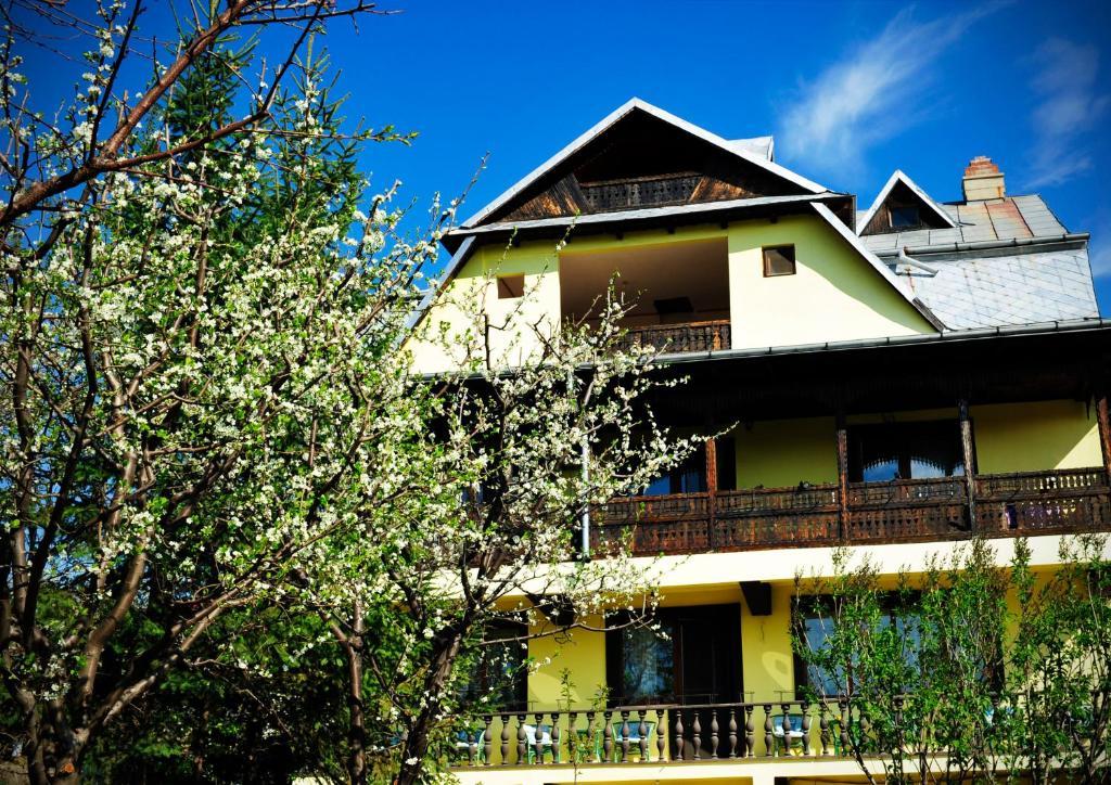 Pension Garofita Iasi Ngoại thất bức ảnh